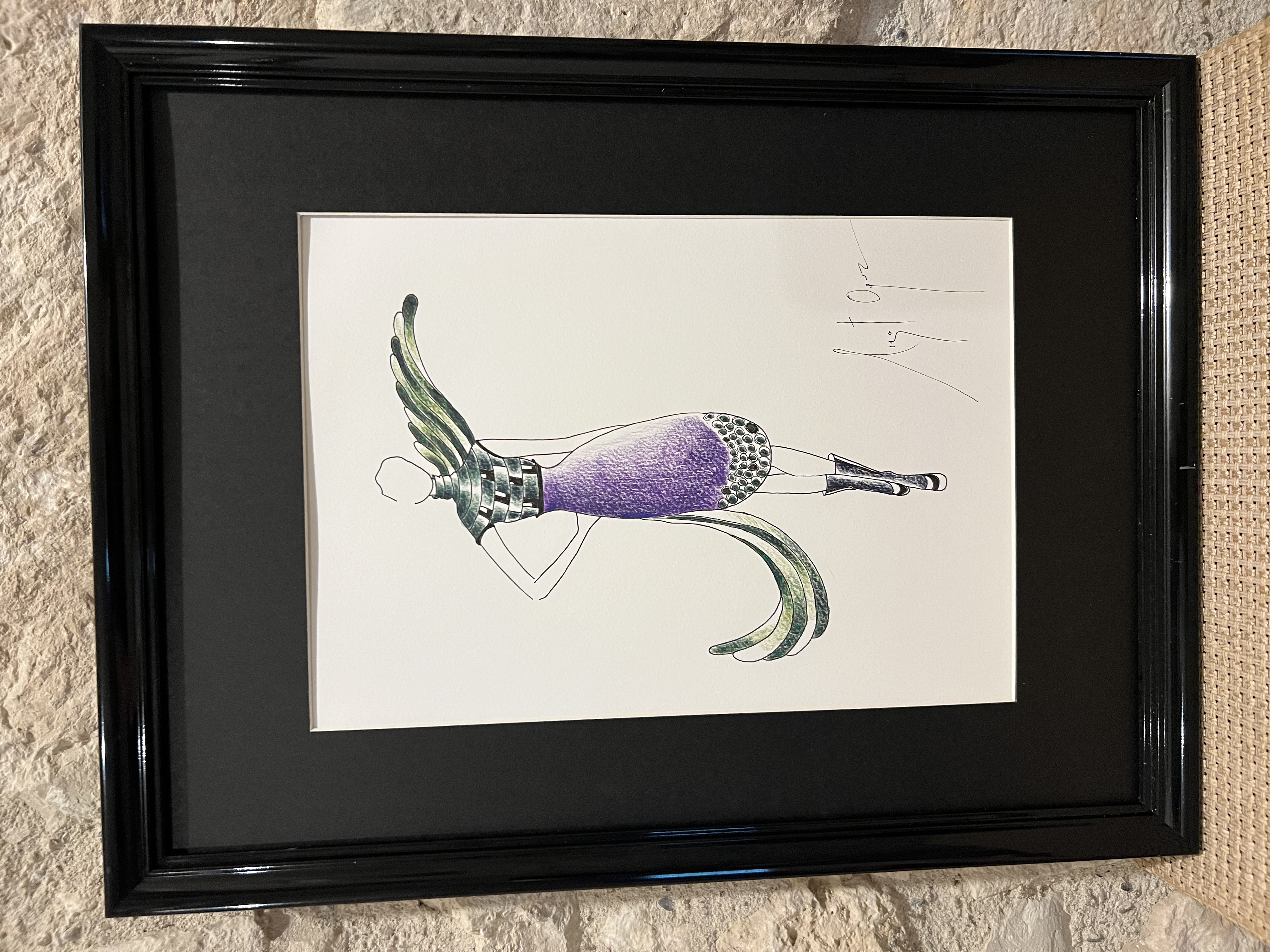 Framed art  dress with bird wings