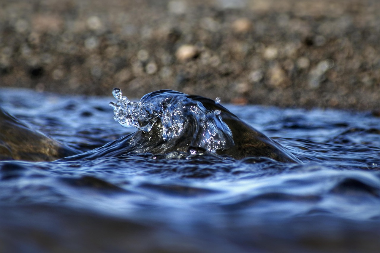 Photo of a wave in a river